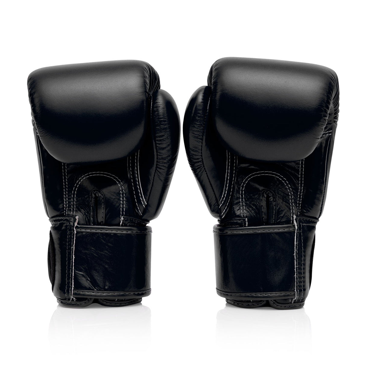 Fairtex BGV1 Universal Boxing Gloves - Black