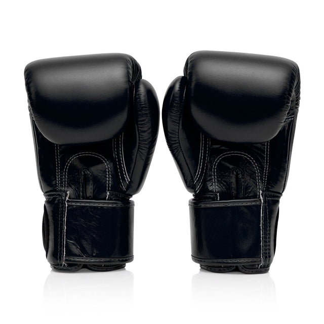 Fairtex BGV1 Universal Boxing Gloves Black
