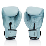 Fairtex BGV20 Leather Boxing Gloves Pastel Blue