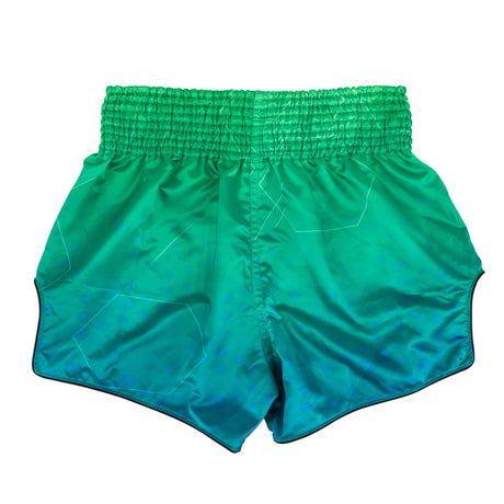 Fairtex BS1953 Quantum Muay Thai Shorts