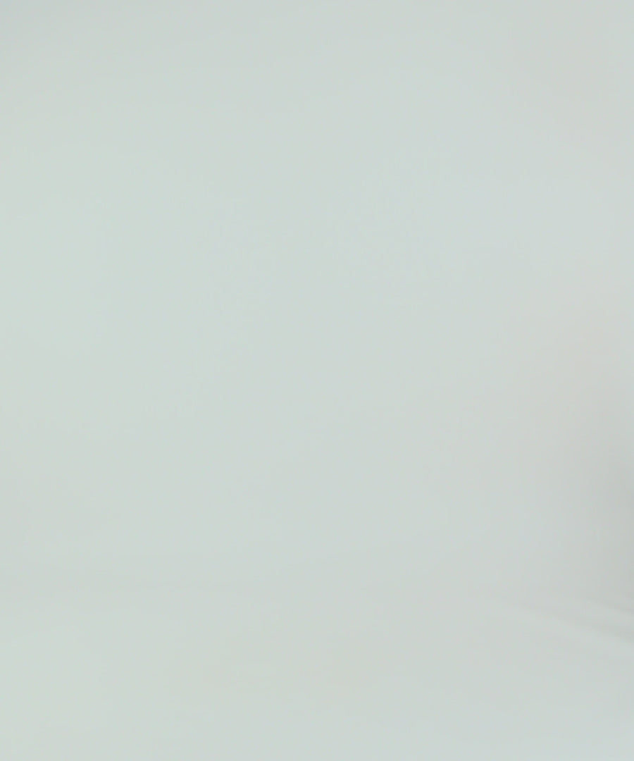 Venum Classic Boxing Shorts White/Black