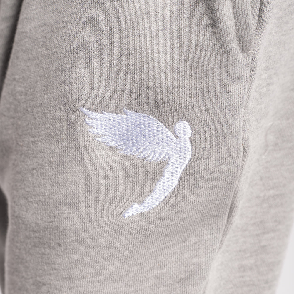 Fly Kids Tracksuit Joggers Grey
