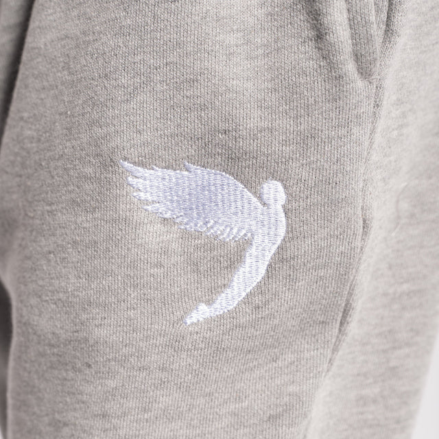 Fly Kids Tracksuit Joggers Grey