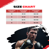 Bravose Elite Pro 2.0 Velcro Boxing Gloves Black & Gold