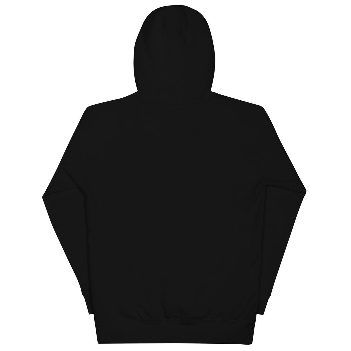 Polaris 2024 Logo hoodie i svart