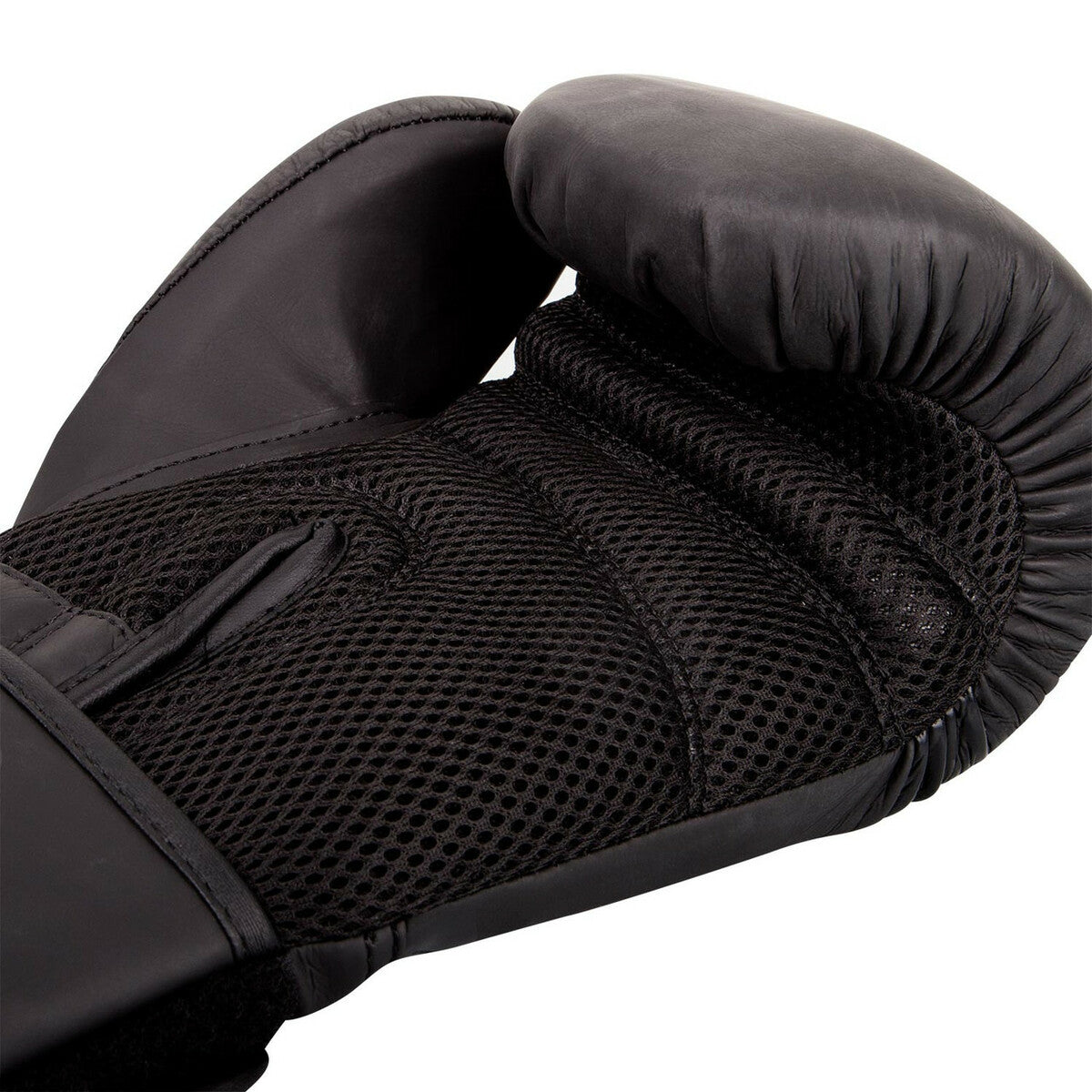 Ringhorns Charger Boxing Gloves   