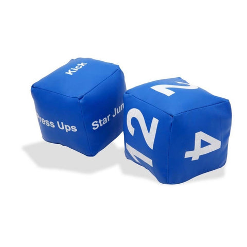 Blue Bytomic Martial Arts Drill Dice